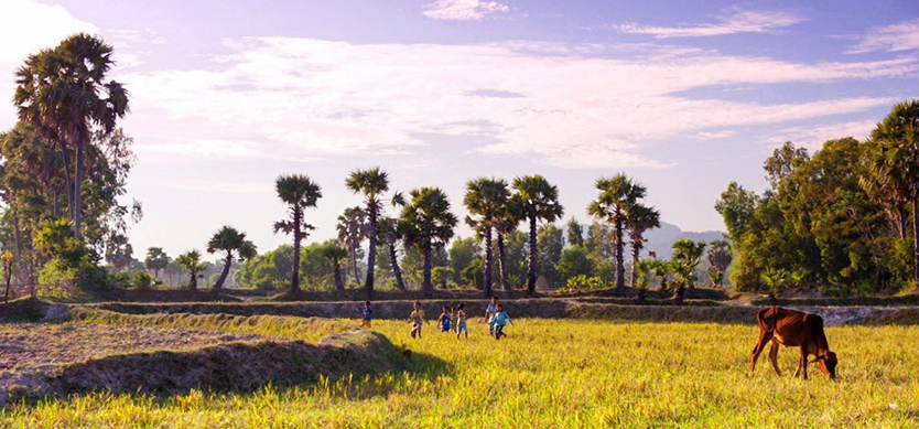 Mekong Delta in Brief