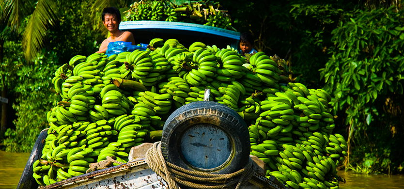 Mekong Delta positive about fruit export