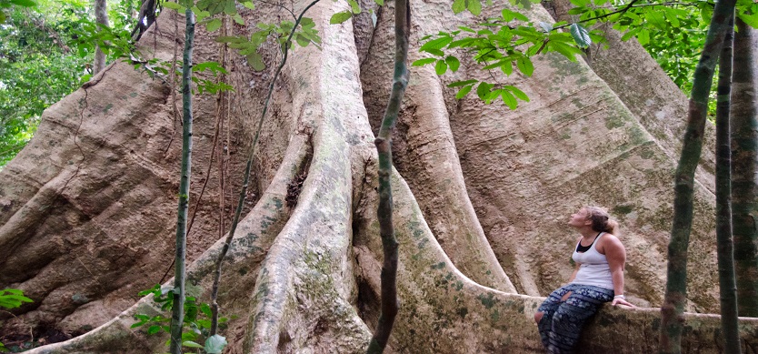 Mystical World in Nam Cat Tien Jungle