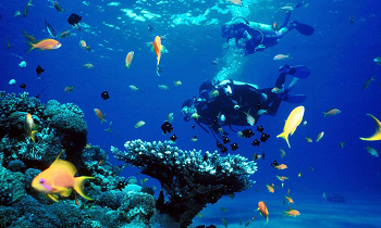 Things to know about scuba diving in Phu Quoc island
