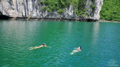 Luxury group tour