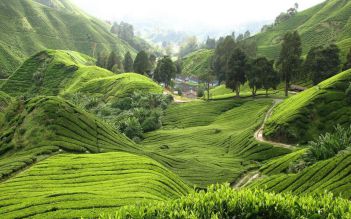Mai Chau 2 days classic group tour