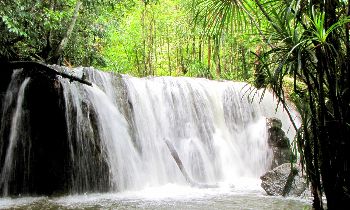 Tranh Stream