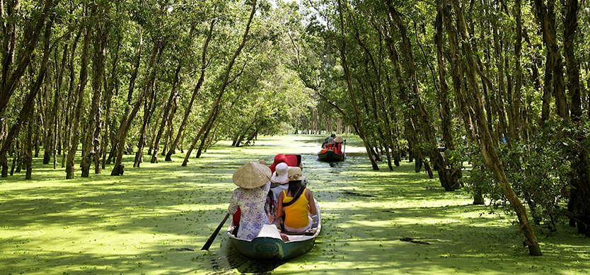 Vietnam takes urgent action to rescue Mekong River Delta