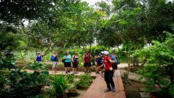 Private tour