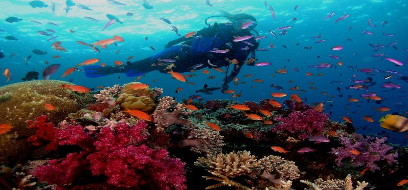 How to scuba diving in Phu Quoc