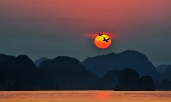 See sunset and sunrise on Halong Bay