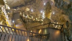Private tour