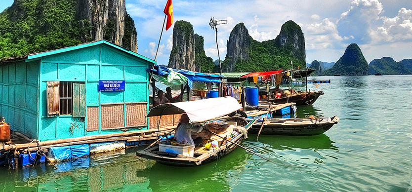 Top exciting activities you will enjoy on a one-day cruise tour in Halong Bay
