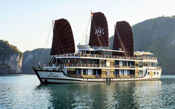 Orchid Cruise 3 days 2 nights