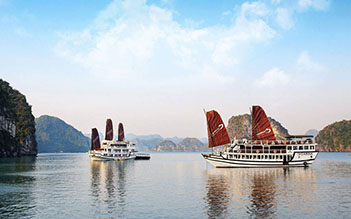 Carina Cruise 3 days/ 2 nights