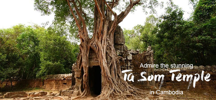 Admire the stunning Ta Som Temple in Cambodia