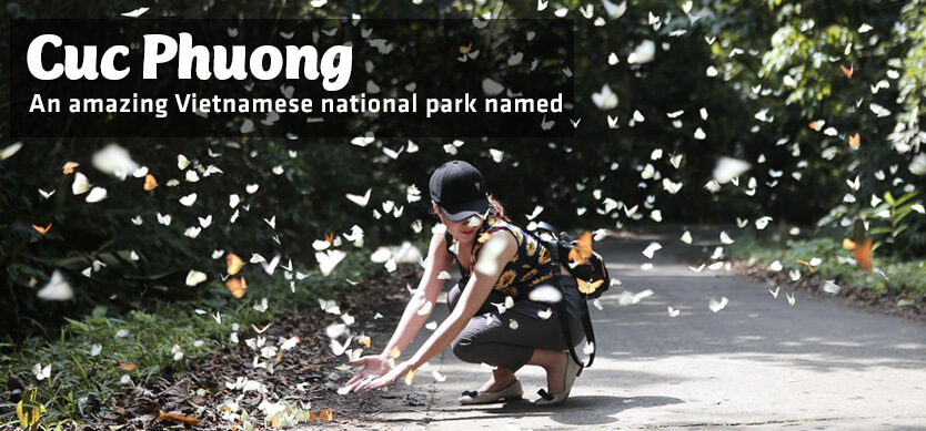 An amazing Vietnamese National Park named Cuc Phuong