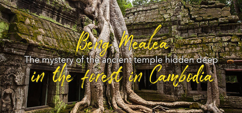 Beng Mealea – the mystery of the ancient temple hidden deep in the forest in Cambodia