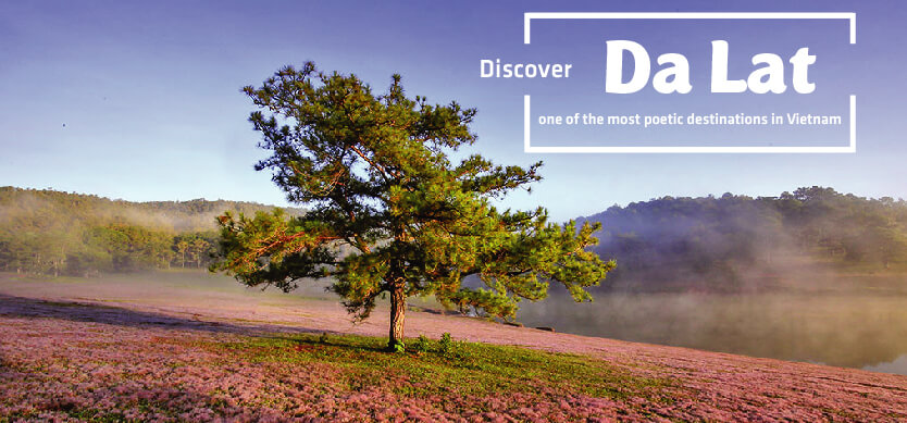Discover Dalat - One of the most poetic destinations in Vietnam