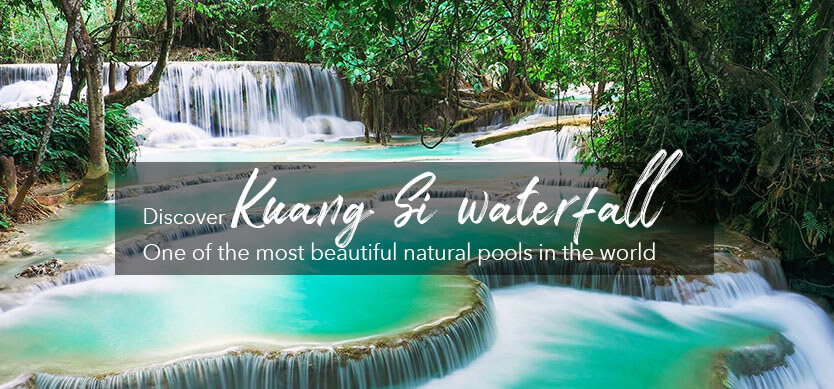 Discover Kuang Si Waterfall - One of the most beautiful natural pools in the world