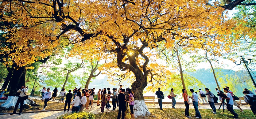 Discover the beauty of Northern Vietnam in autumn