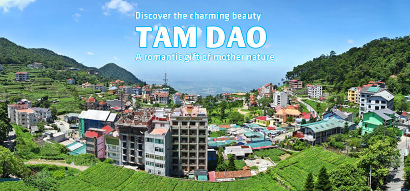 Discover the charming beauty of Tam Dao - A romantic gift of mother nature