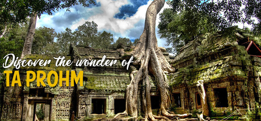 Discover the wonder of Ta Prohm
