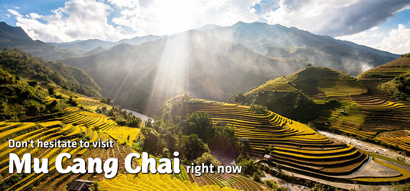 Discover the breathtaking Mu Cang Chai