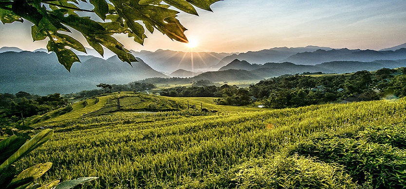 Where to go on Independence Day: Explore the dreaming and poetic nature in Pu Luong Nature Reserve