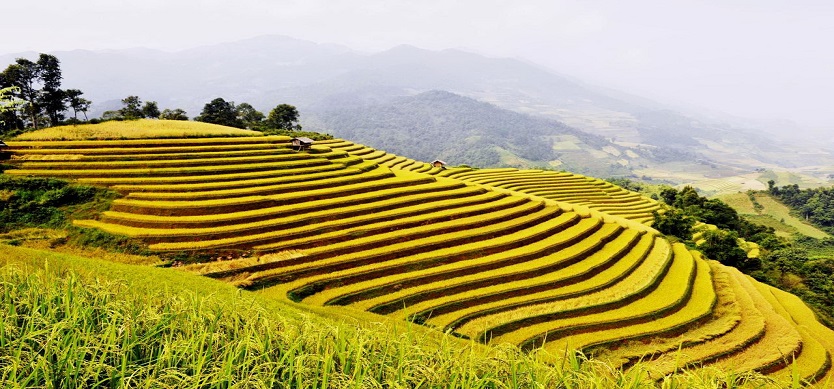 Explore The H’mong’s Culture In Ha Giang