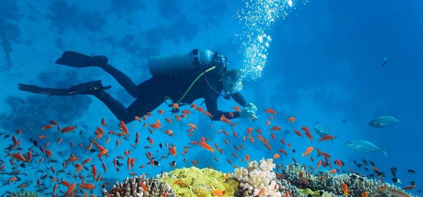 The best Vietnam scuba diving spots for stunning coral reefs