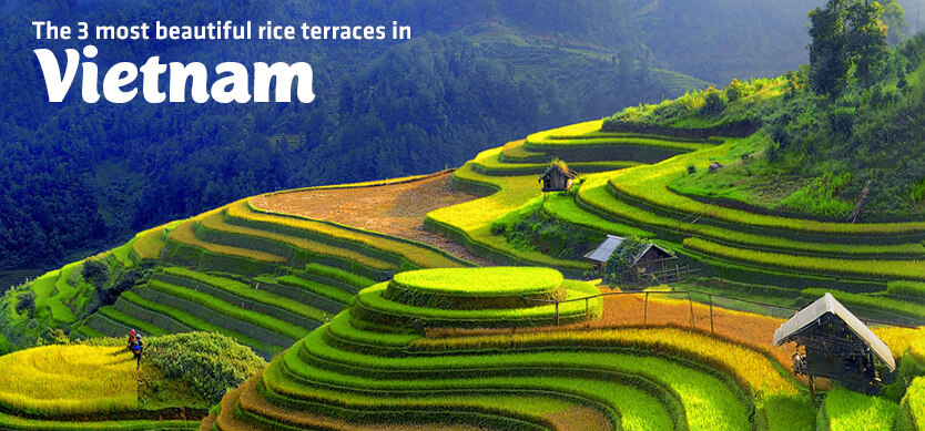 The 3 most beautiful rice terraces in Vietnam