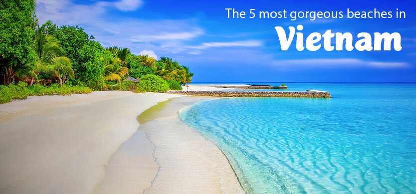 The 5 most gorgeous beaches in Vietnam voted by foreigners