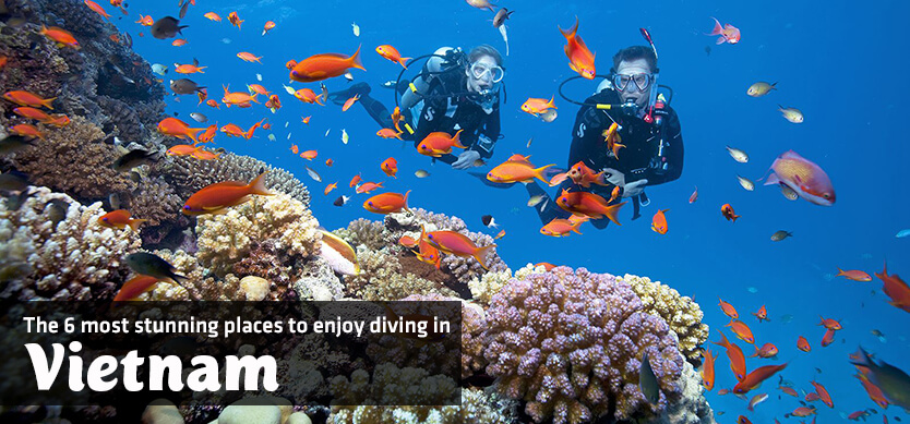 The 6 most stunning places to enjoy diving in Vietnam
