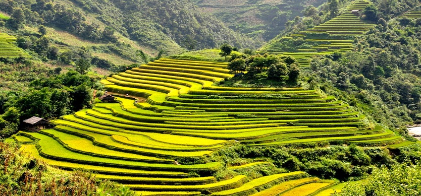 The Best Time To Travel To The North Of Vietnam