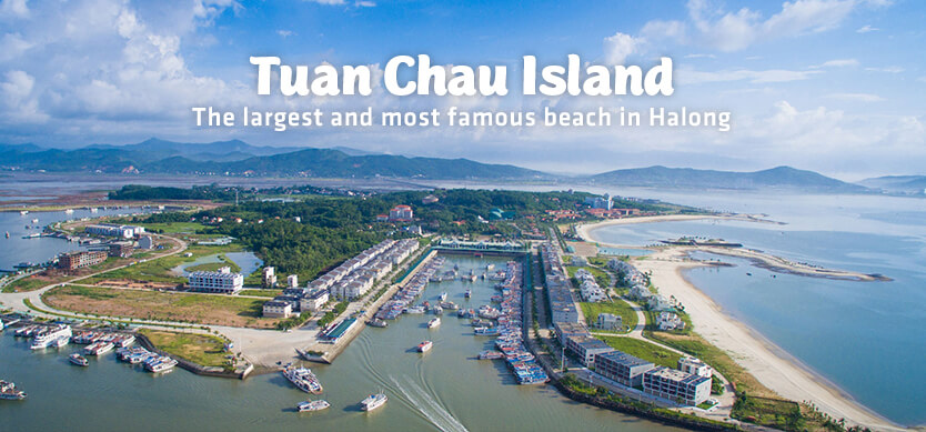 Tuan Chau Island - The largest and most beautiful beach in Halong