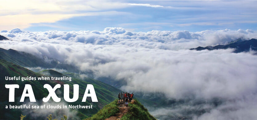 Useful guides when traveling Ta Xua - a beautiful sea of clouds in Northwest