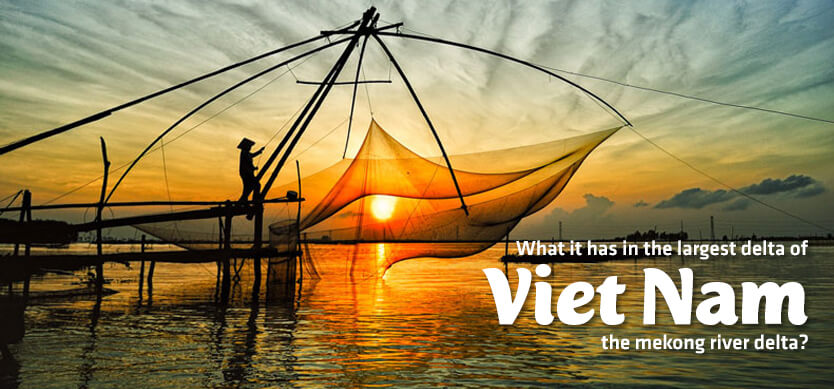 What It Has In The Largest Delta Of Vietnam-The Mekong River Delta?