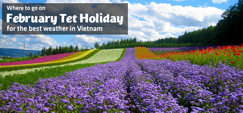 Where to go on February Tet holiday for the best weather in Vietnam?