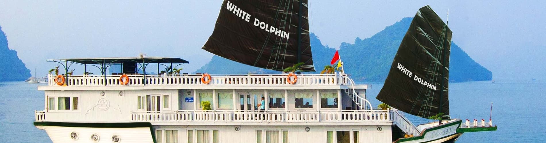 White Dolphin Cruises