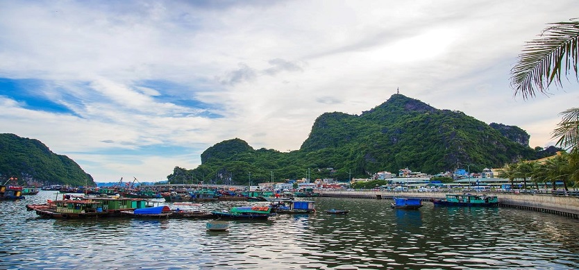 Admire Halong Bay from Bai Tho Mountain