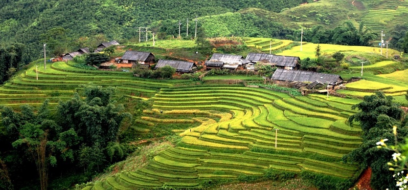 Ban Ho Village