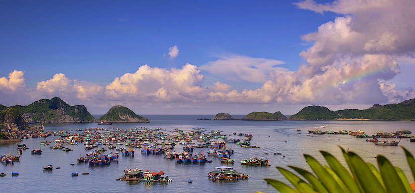 Cat Ba island