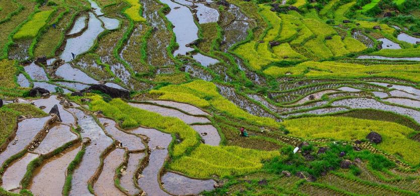 Mai Chau Homestay trek was wonderful