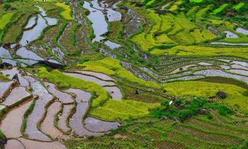 Mai Chau Homestay trek was wonderful