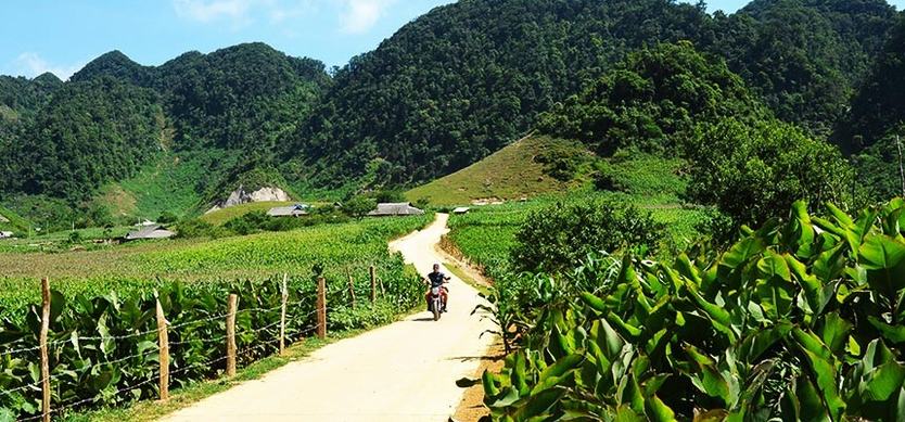 Pa Co – A different side of Mai Chau