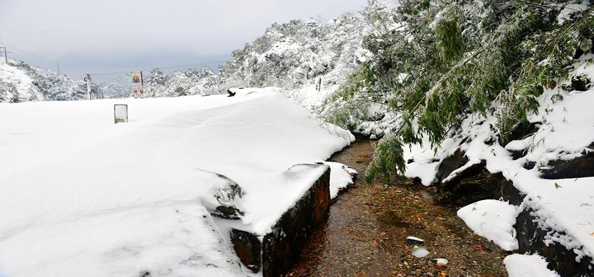 Sapa snowfall damages farms, attracts tourists