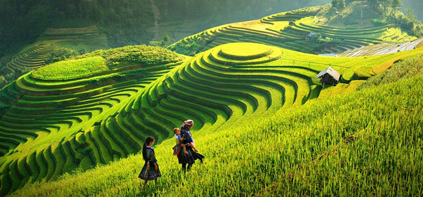 Sapa travel experience for the first-time travelers