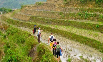 Sapa Trekking Homestay Offers 10% Discount for Early Bird Booking
