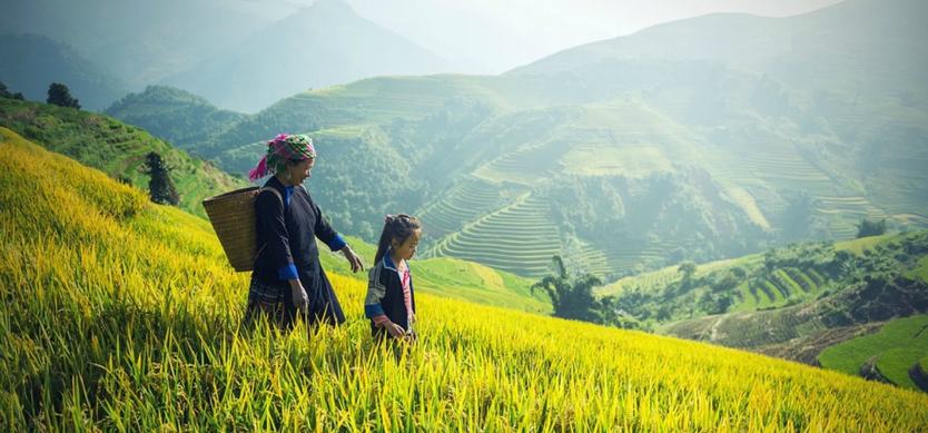 Essential Tips for Sapa Trekking