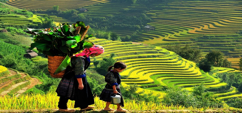 Sapa Walking Street on Weekend