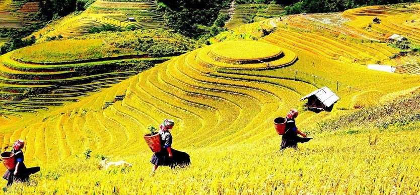 Six Amazing Destinations in Sapa