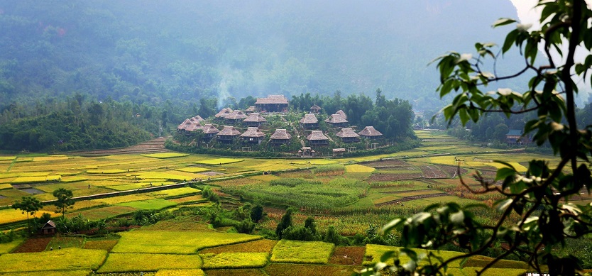 Something about Mai Chau