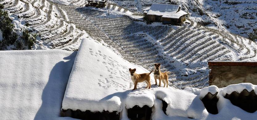 The experiences you must try in Sapa on super cold days